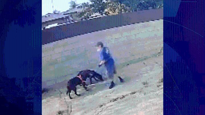 Man wanted for alleged animal cruelty in South Gate
