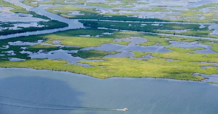 Trump administration backs Chevron in Louisiana coastal case