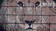 'Checkpoint Zoo' To Hit VOD For One Day In Honor Of World Animal Day