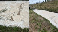 ‘That looks nasty’: Harris County business manager charged, accused of dumping cosmetic product into bayou
