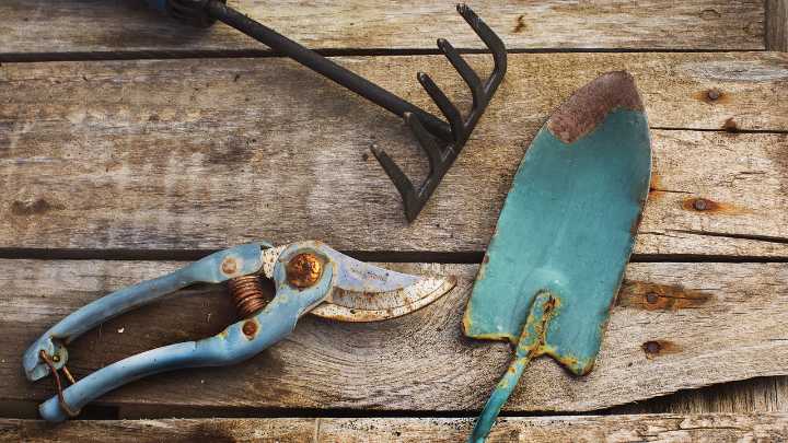 People are using Coca-Cola to clean their gardening tools — here's why it's not a great idea