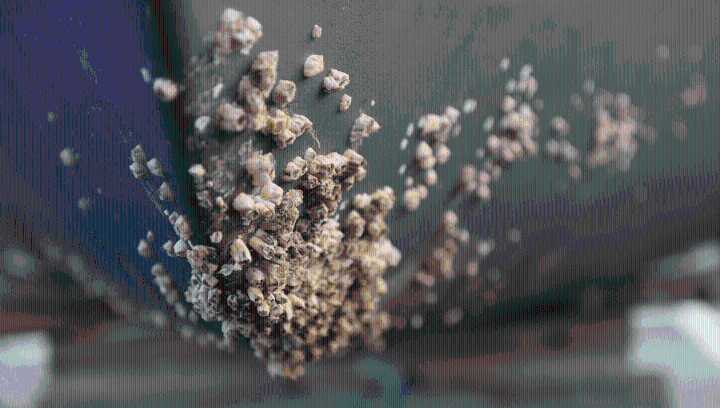 Invasive Barnacle Species Detected In The Arctic Shows The Region’s Defences Are Failing Under Climate Change