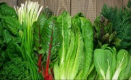 Chau a la lechuga: 4 hojas verdes que son superiores y aportan más nutrientes