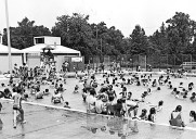 Growing up on Staten Island: Fond memories of summer at the Tottenville Pool