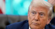 H-1B U.S. Visa: India expresses concern on Trump's plan