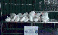 Oficiales de la CBP incautan más de $3.3 millones en narcóticos fuertes en el Puente del Comercio Mundial