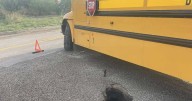 School bus drives into small sink hole, breaks axle near Willcox