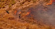 Menos incendios en Málaga, pero más voraces: "No nos podemos acordar del monte sólo cuando arde"