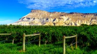 America's Coolest Desert Town Is Found In Colorado