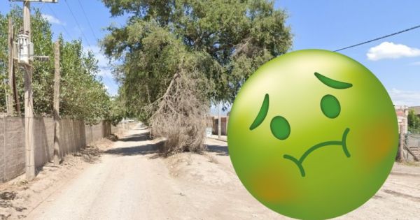 "Está podrido": vecinos encontraron algo asqueroso en un barrio salteño [FOTO]