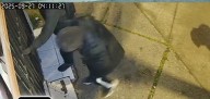 Ahora Carabineros informa de robo en ferretería «TOOLS STORE» de Chillán.