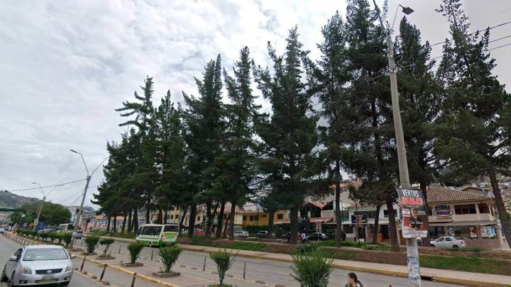 Anunciarán que talarán los árboles en la Avenida de la Cultura a la altura de Mariscal Gamarra