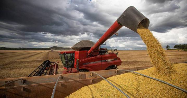 En Salta casi no hay productores que se beneficien de las retenciones cero