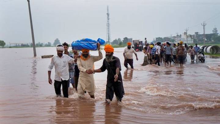 Punjab farmers stare at Rs 6,000-crore losses after floods ravage crops on around 5 lakh acres
