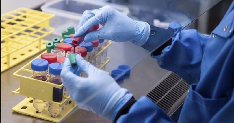 Florida ranks first in nation for clinical trial economic impact