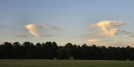First Alert and Find Out: What is Virga?