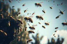 Adulto mayor falleció por ataque de abejas africanizadas