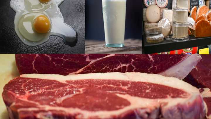 When you go overboard on protein, this is what can happen in your body