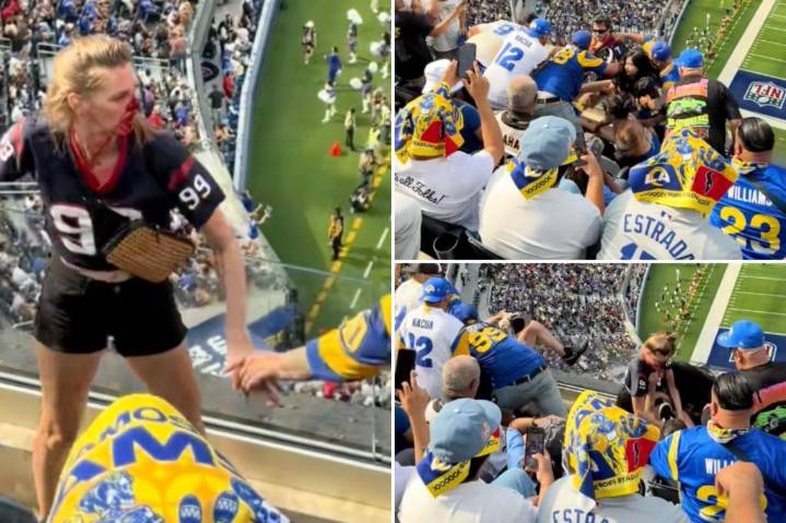 Female fan bloodied in disturbing fight at Texans