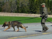 Drones, dogs, armoured vehicles and air support needed in B.C. manhunt