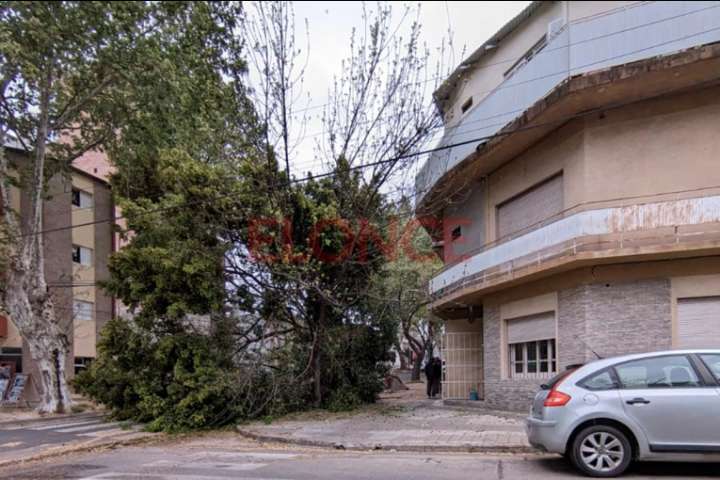 El fuerte viento roza los 40km/h en Paraná y reportaron caída de árboles
