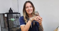 Woman opens 'dream' reptile shop in Plymouth