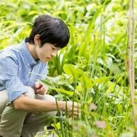 Japan prince comes of age as succession crisis looms