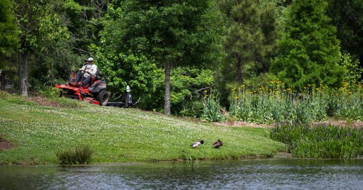 Grass faces new challenges in the fall. Dan Gill explains how to keep it healthy as growth slows.