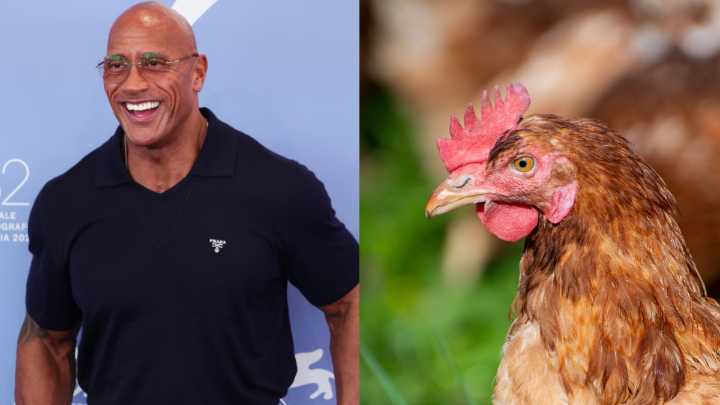 Dwayne Johnson perderá peso para interpretar a un anciano en nueva película