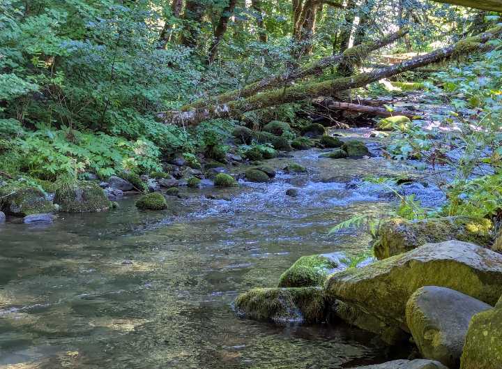 Portland continues streak of warm, sunny days Thursday. Rain possible by the weekend