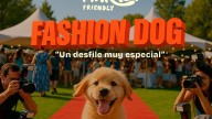 Con un desfile canino, llega una nueva edición del Grand Market Open