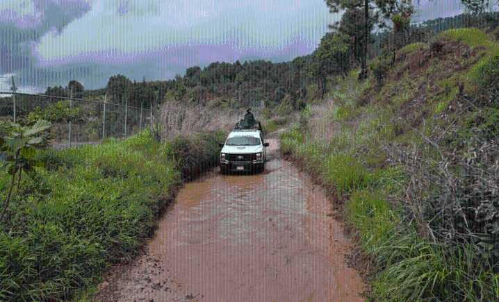 Ejército abate a dos integrantes de grupo armado en Michoacán