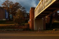 Brandeis Invests $25M in Career Readiness Strategy