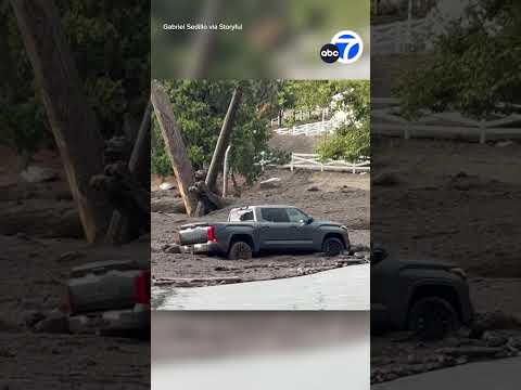 Driver tries to save truck from fast