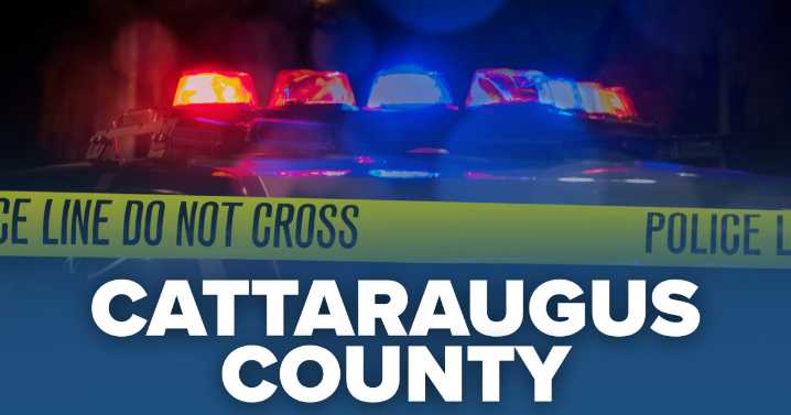 Two teens from Buffalo accused of stealing items from vehicles in Great Valley and Ellicottville