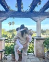 Cele|bitchy | Duchess Meghan teases a homeware line, showing a planter with the As Ever logo
