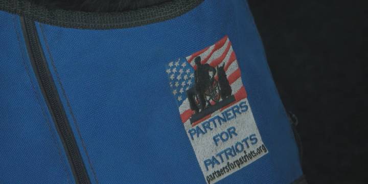 Partners for Patriots hosts first poker run fundraiser money to provide service dogs for veterans