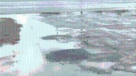 Residents demand action as Brownsville roads deteriorate