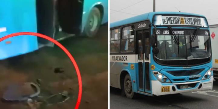 Extorsionadores lanzan explosivo a bus de ‘Los Chinos’ y asientos terminan en la pista