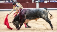Hubo material para algo más en Las Ventas