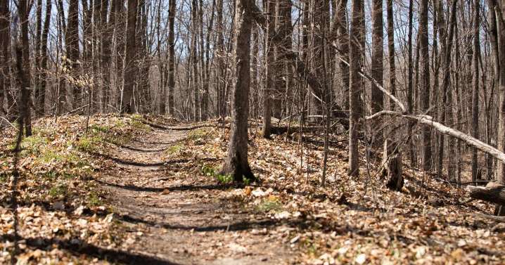 Bow hunting permits issued for Hickory Forest