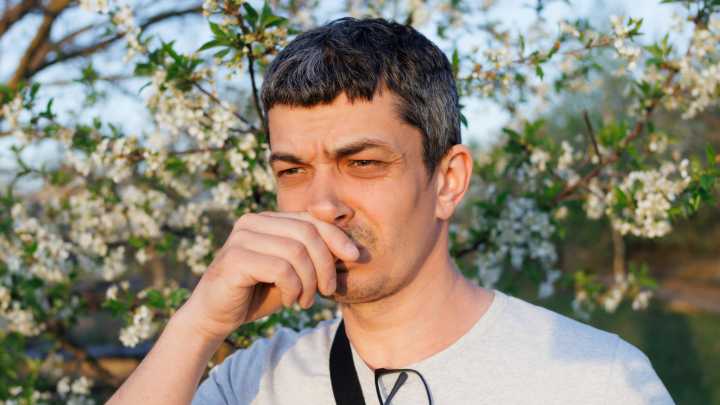 Why Your Garden's Shrubs Smell Like Cat Pee (And What To Do About It)