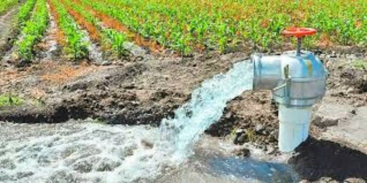 Una concesión de agua en Oaxaca ¡geolocalizada en Tailandia!