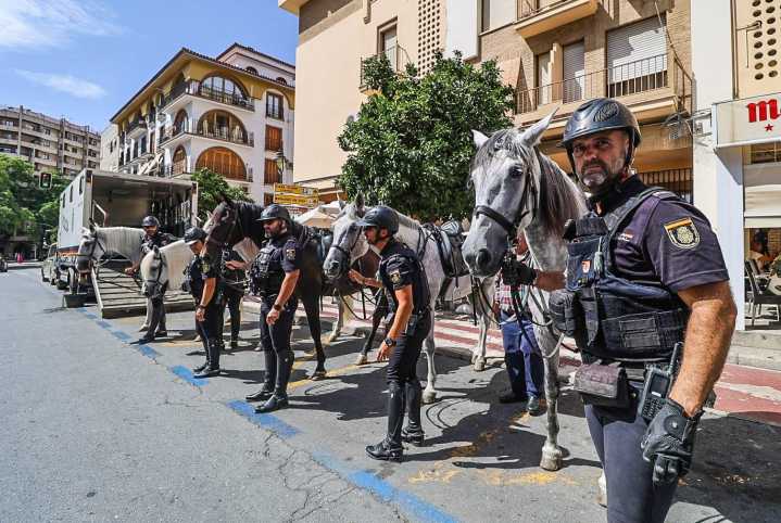 La Caballería de la Policía Nacional vela por la seguridad en la Magna Mariana: "El punto de altitud con el caballo nos da ventaja entre la multitud"