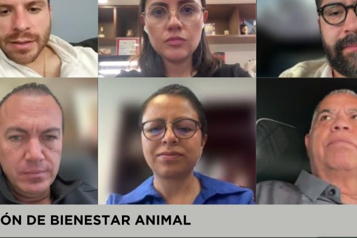 Aprueban colaboración para protección animal en Cuajimalpa
