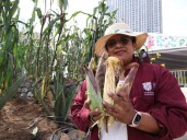Feria del Maíz y la Agrobiodiversidad: Brugada garantiza más producción y mercado de maíz para la CDMX