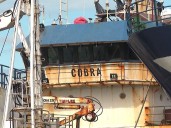 Videos del PAM Cobra llevaron a modificar querella del Ministerio de Seguridad