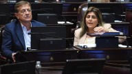 Los senadores Juri y Suarez se abstuvieron en la votación contra el veto de Milei a los ATN
