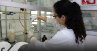 Crece 30.5% número de investigadores BUAP en el SNII durante cuatro años