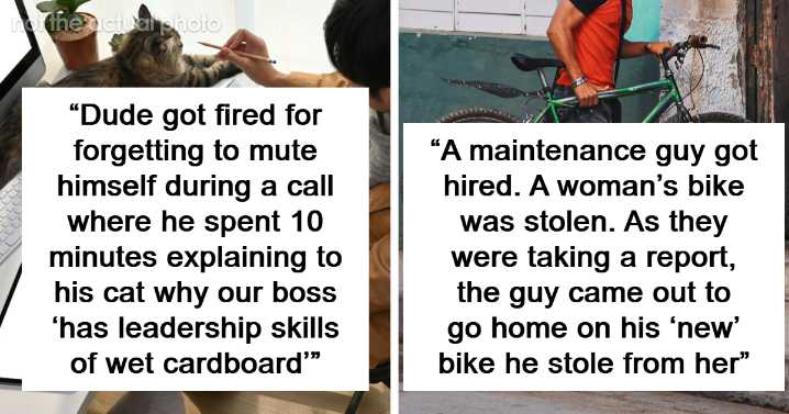 “How Dumb Can You Be?”: 29 Times People Got Fired And Had No One But Their Stupid Selves To Blame